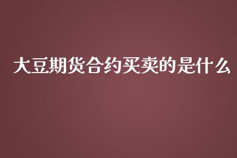 大豆期货合约买卖的是什么_https://cj004.lansai.wang_财经新闻_第1张