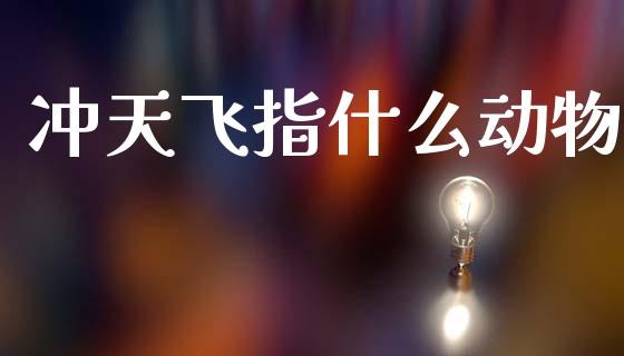 冲天飞指什么动物_https://cj004.lansai.wang_期货开户_第1张
