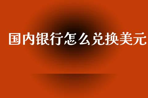 国内银行怎么兑换美元_https://cj004.lansai.wang_外汇交易_第1张