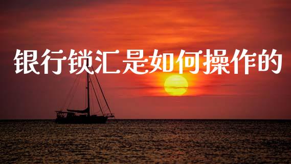 银行锁汇是如何操作的_https://cj004.lansai.wang_外汇交易_第1张