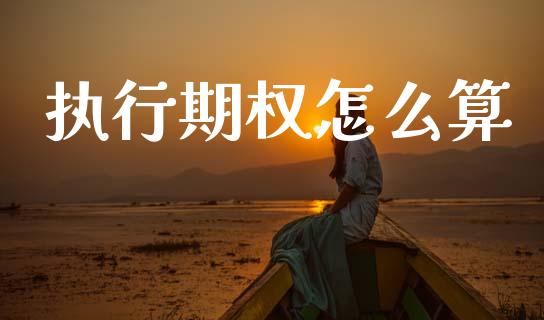 执行期权怎么算_https://cj004.lansai.wang_债券资讯_第1张