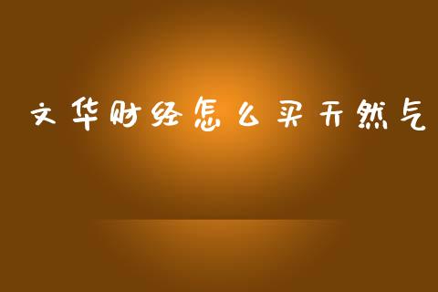 文华财经怎么买天然气_https://cj004.lansai.wang_金融监管_第1张
