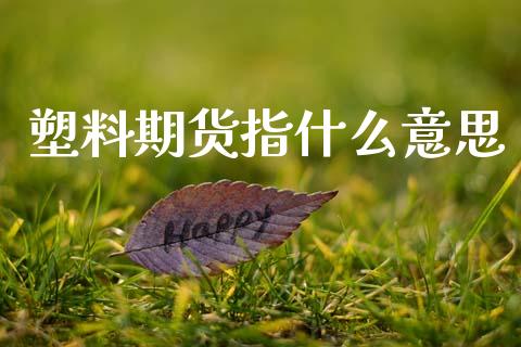 塑料期货指什么意思_https://cj004.lansai.wang_金融监管_第1张