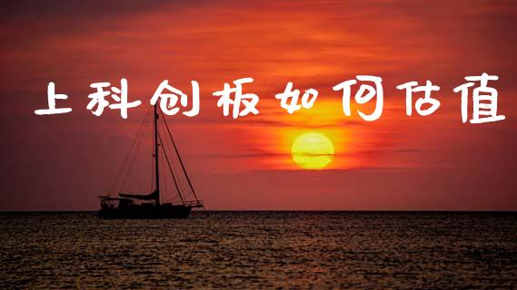 上科创板如何估值_https://cj004.lansai.wang_财经新闻_第1张