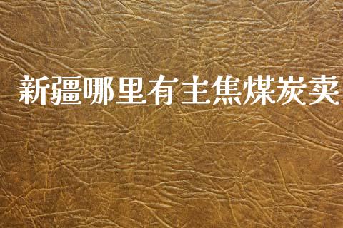 新疆哪里有主焦煤炭卖_https://cj004.lansai.wang_财经新闻_第1张