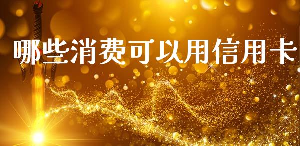 哪些消费可以用信用卡_https://cj004.lansai.wang_期货开户_第1张
