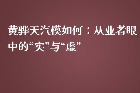 黄骅天汽模如何：从业者眼中的“实”与“虚”_https://cj004.lansai.wang_外汇交易_第1张