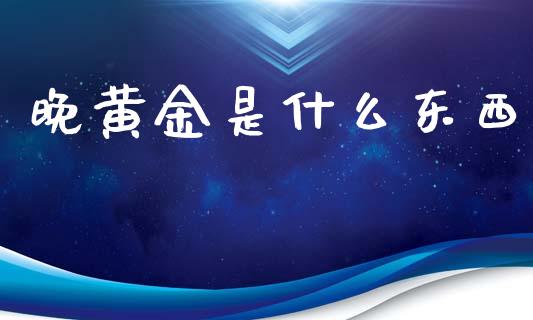 晚黄金是什么东西_https://cj004.lansai.wang_债券资讯_第1张