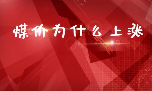煤价为什么上涨_https://cj004.lansai.wang_外汇交易_第1张