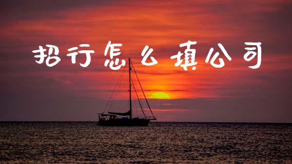 招行怎么填公司_https://cj004.lansai.wang_外汇交易_第1张
