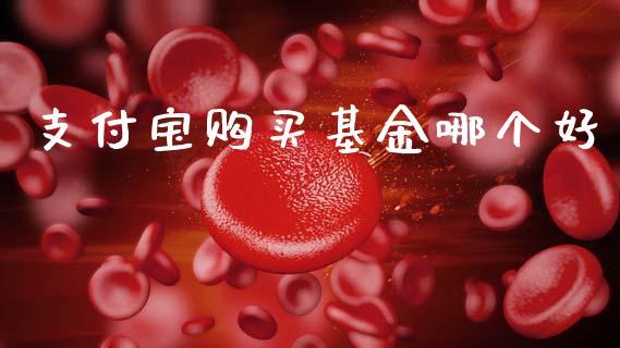 支付宝购买基金哪个好_https://cj004.lansai.wang_金融监管_第1张