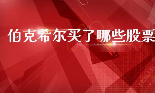 伯克希尔买了哪些股票_https://cj004.lansai.wang_外汇交易_第1张