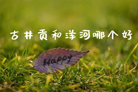 古井贡和洋河哪个好_https://cj004.lansai.wang_财经新闻_第1张