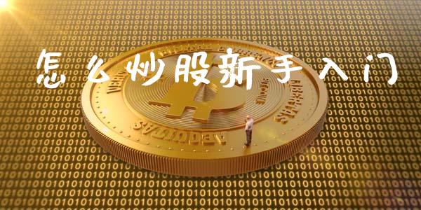 怎么炒股新手入门_https://cj004.lansai.wang_金融监管_第1张