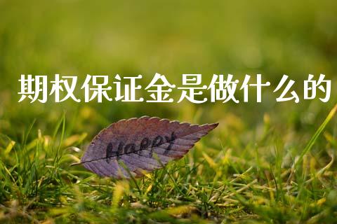 期权保证金是做什么的_https://cj004.lansai.wang_债券资讯_第1张