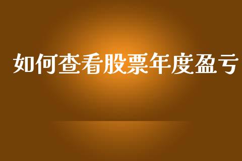 如何查看股票年度盈亏_https://cj004.lansai.wang_债券资讯_第1张
