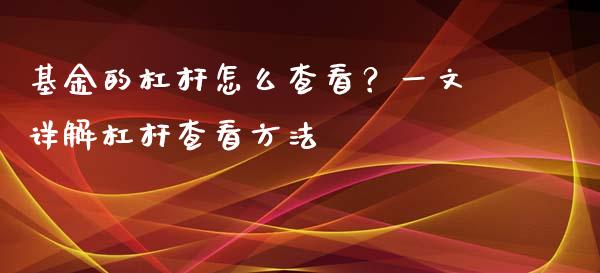 基金的杠杆怎么查看？一文详解杠杆查看方法_https://cj004.lansai.wang_债券资讯_第1张