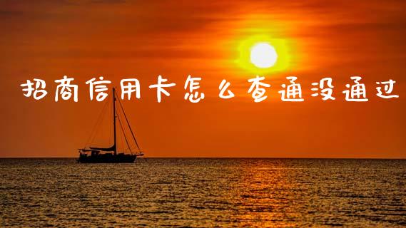 招商信用卡怎么查通没通过_https://cj004.lansai.wang_全球市场_第1张