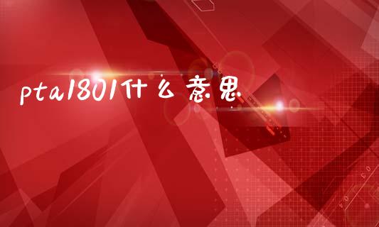 pta1801什么意思_https://cj004.lansai.wang_债券资讯_第1张