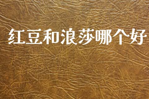 红豆和浪莎哪个好_https://cj004.lansai.wang_金融监管_第1张