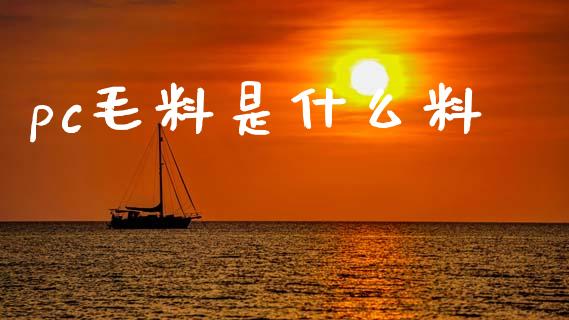 pc毛料是什么料_期货开户_第1张_期货开户_金融监管_外汇交易_债券资讯_全球市场_财经新闻 pc毛料是什么料_https://cj004.lansai.wang_期货开户_第1张