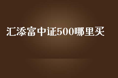 汇添富中证500哪里买_https://cj004.lansai.wang_财经新闻_第1张