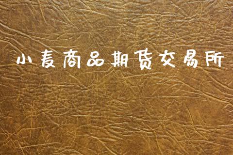 小麦商品期货交易所_全球市场_第1张_期货开户_金融监管_外汇交易_债券资讯_全球市场_财经新闻 小麦商品期货交易所_https://cj004.lansai.wang_全球市场_第1张