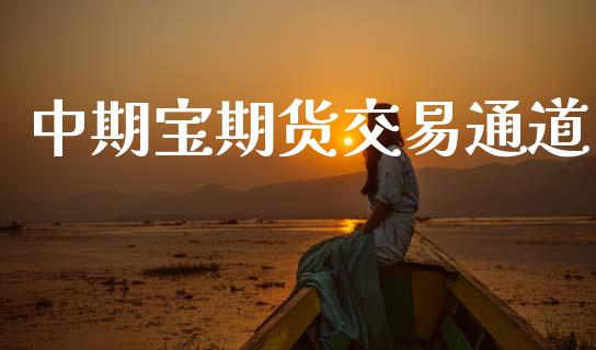 中期宝期货交易通道_https://cj004.lansai.wang_外汇交易_第1张