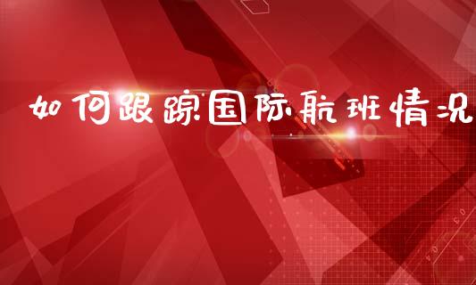 如何跟踪国际航班情况_https://cj004.lansai.wang_外汇交易_第1张