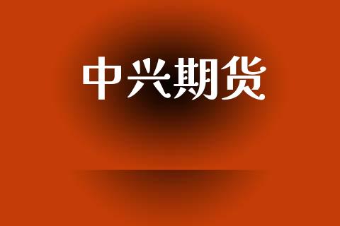 中兴期货_https://cj004.lansai.wang_期货开户_第1张