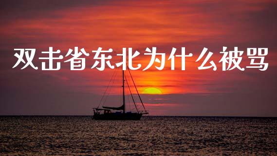 双击省东北为什么被骂_https://cj004.lansai.wang_期货开户_第1张