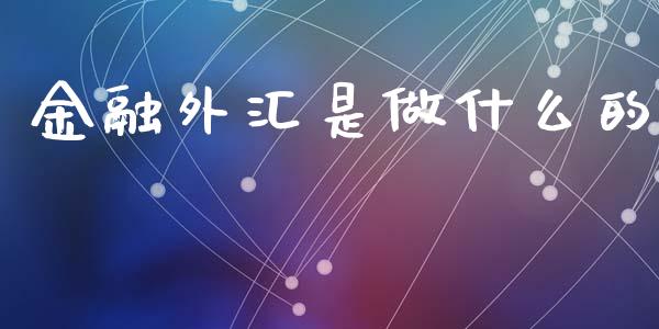 金融外汇是做什么的_https://cj004.lansai.wang_债券资讯_第1张