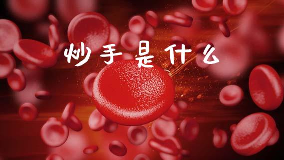 炒手是什么_https://cj004.lansai.wang_债券资讯_第1张