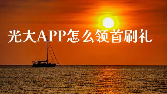 光大APP怎么领首刷礼_https://cj004.lansai.wang_财经新闻_第1张