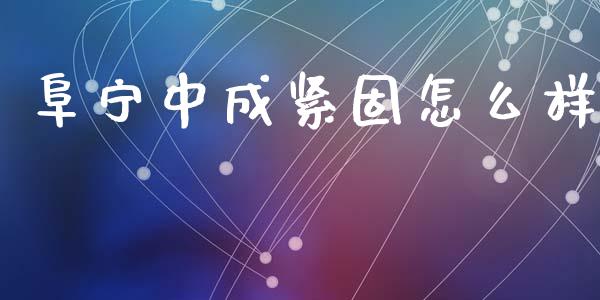 阜宁中成紧固怎么样_https://cj004.lansai.wang_债券资讯_第1张