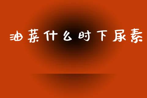 油菜什么时下尿素_债券资讯_第1张_期货开户_金融监管_外汇交易_债券资讯_全球市场_财经新闻 油菜什么时下尿素_https://cj004.lansai.wang_债券资讯_第1张