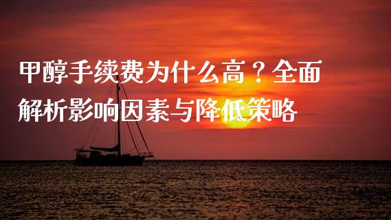 甲醇手续费为什么高？全面解析影响因素与降低策略_https://cj004.lansai.wang_金融监管_第1张