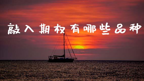 敲入期权有哪些品种_https://cj004.lansai.wang_外汇交易_第1张