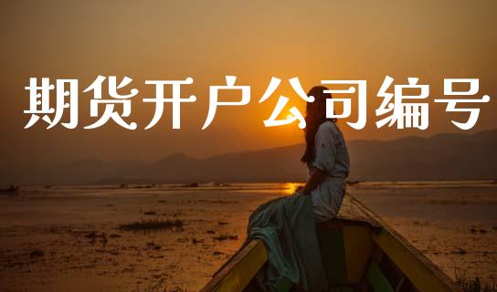 期货开户公司编号_https://cj004.lansai.wang_金融监管_第1张