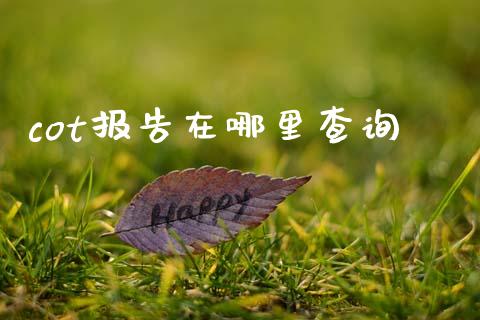 cot报告在哪里查询_https://cj004.lansai.wang_债券资讯_第1张
