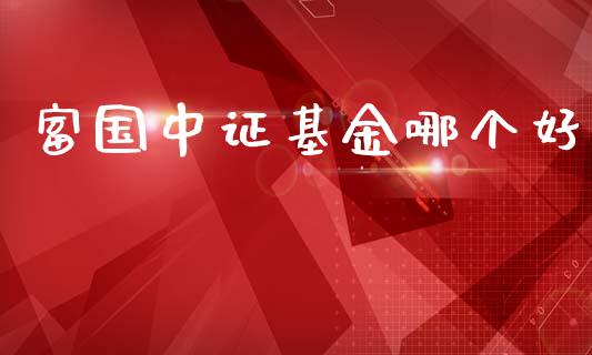 富国中证基金哪个好_https://cj004.lansai.wang_外汇交易_第1张
