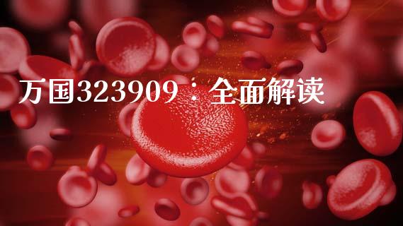 万国323909：全面解读_https://cj004.lansai.wang_全球市场_第1张