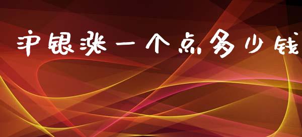沪银涨一个点多少钱_https://cj004.lansai.wang_全球市场_第1张