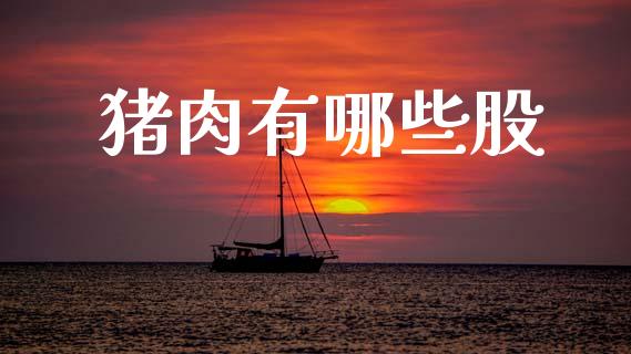 猪肉有哪些股_https://cj004.lansai.wang_财经新闻_第1张