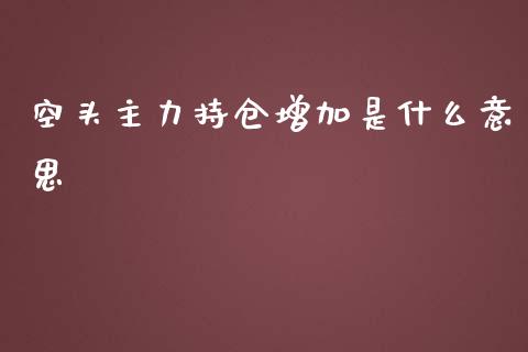空头主力持仓增加是什么意思_https://cj004.lansai.wang_全球市场_第1张