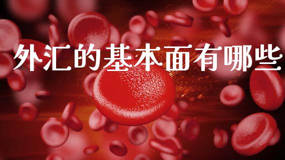 外汇的基本面有哪些_https://cj004.lansai.wang_期货开户_第1张
