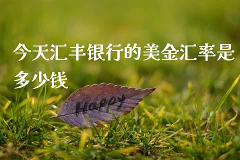 今天汇丰银行的美金汇率是多少钱_https://cj004.lansai.wang_期货开户_第1张