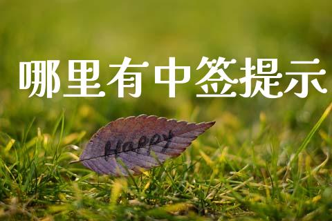 哪里有中签提示_https://cj004.lansai.wang_全球市场_第1张