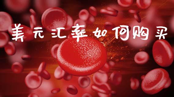 美元汇率如何购买_https://cj004.lansai.wang_外汇交易_第1张