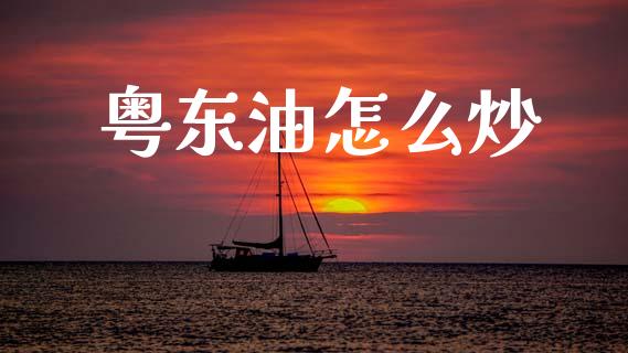 粤东油怎么炒_https://cj004.lansai.wang_财经新闻_第1张